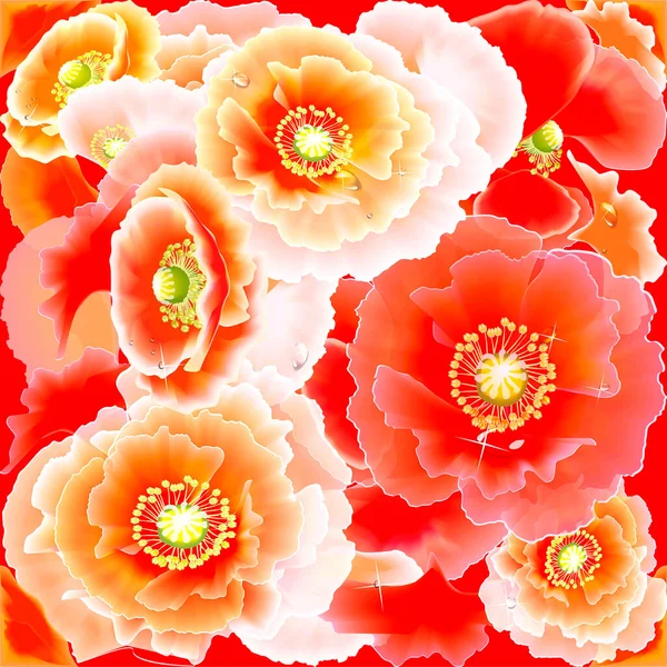Textura Fundos São Papoilas Vermelhas Diferentes Origens Gradiente Desenho Flores — Fotografia de Stock