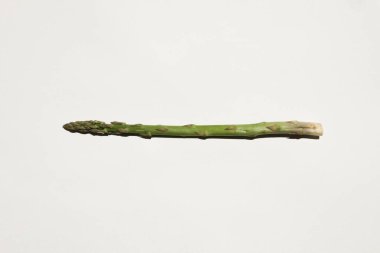 asparagus on white background.fresh asparagus officinalis on white background