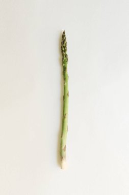 asparagus on white background.fresh asparagus officinalis on white background