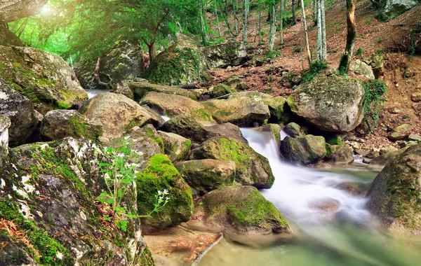 Rio Montanha na primavera. Um fluxo de água na floresta e na montanha — Fotografia de Stock