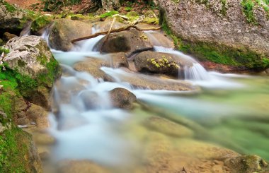 Río de la montaña en primavera. un chorro de agua en bosque y ento