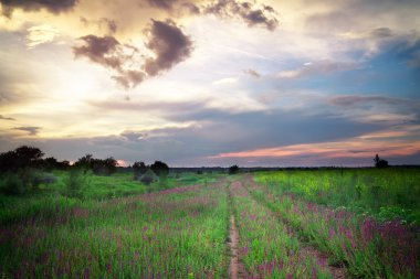 Beautiful landscape with flowers, road and clouds. Sunset