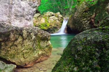 Bahar orman ve nehir. şelale.