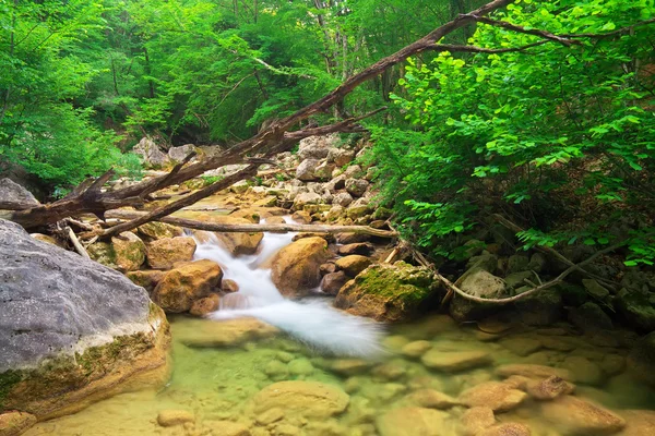 Горная река. Поток воды в лесу и горной местности — стоковое фото