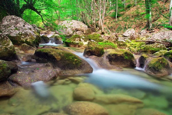 Fiume di montagna in primavera. Un ruscello d'acqua nella foresta e nella montagna — Foto Stock