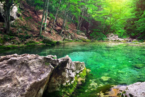 Горная река в лесу и горной местности . — стоковое фото