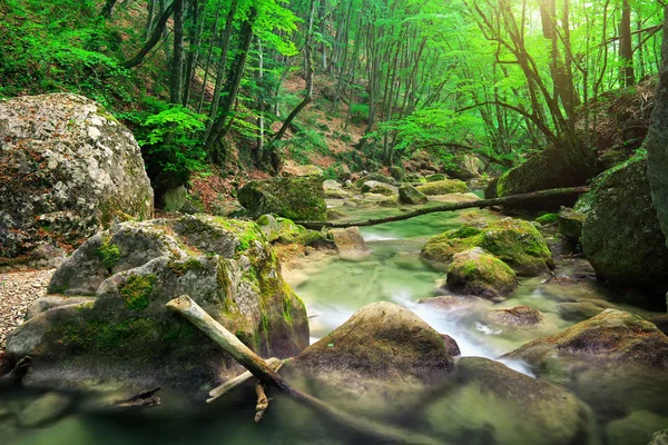 Rivière de montagne au printemps. Un ruisseau d'eau en forêt et en montagne — Photo