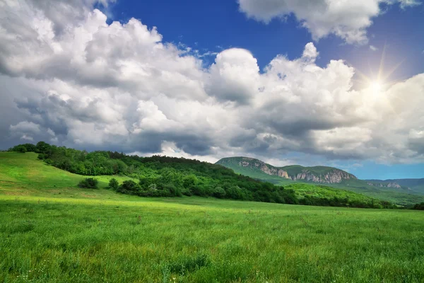 Green meadow in mountain. Beautiful landscape — Stock Photo, Image