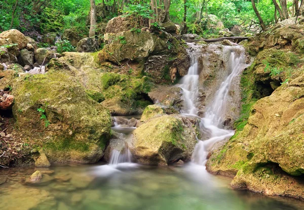 Waterfall. Mountain river. Spring wood and river. — Stock Photo, Image