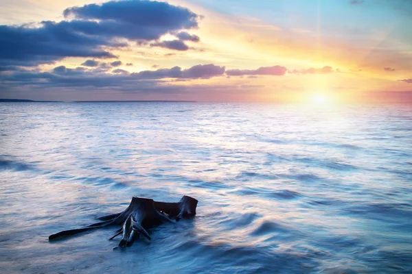 Schöne Meereslandschaft mit Haken und Sonne. Zusammensetzung der Natur. — Stockfoto