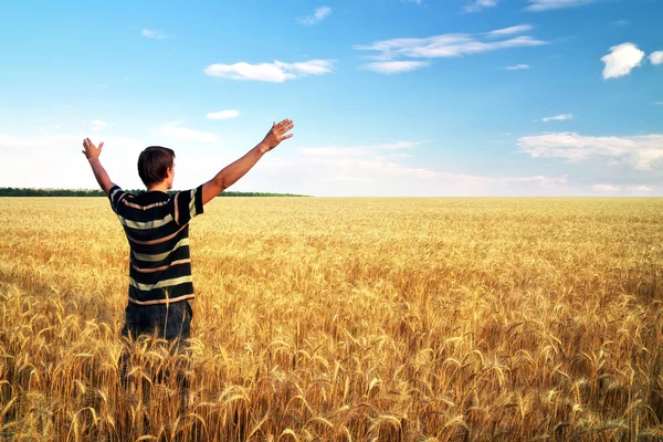 Man in meadow of golden wheat. Emotional scene. — Stock Photo, Image