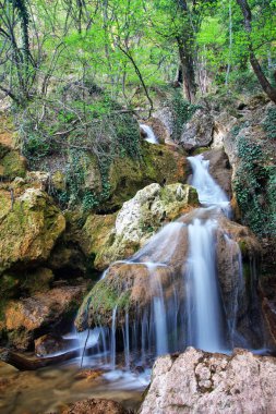 güzel bir şelale. doğanın kompozisyon.