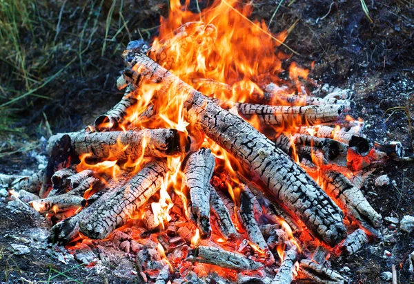 Kolen i elden — Stockfoto