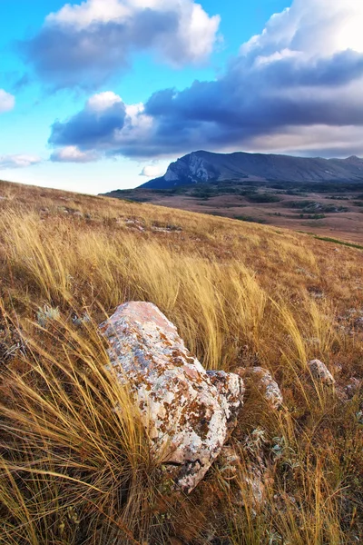 Paesaggio montano. Composizione della natura. — Foto Stock