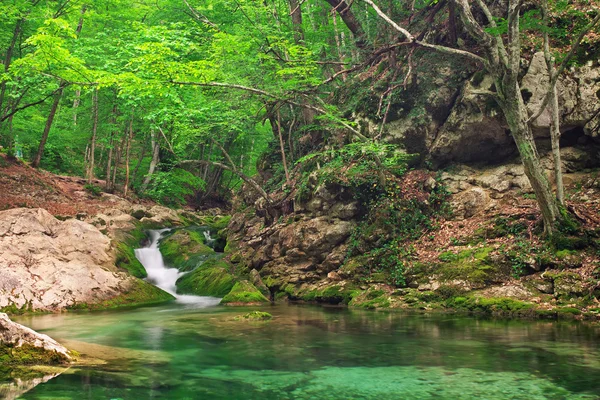 A stream of water in forest and mountain terrain. Mountain river — Stock Photo, Image