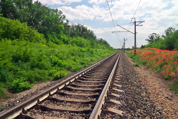Schienen der Eisenbahn zwischen Blumen und Bäumen — Stockfoto