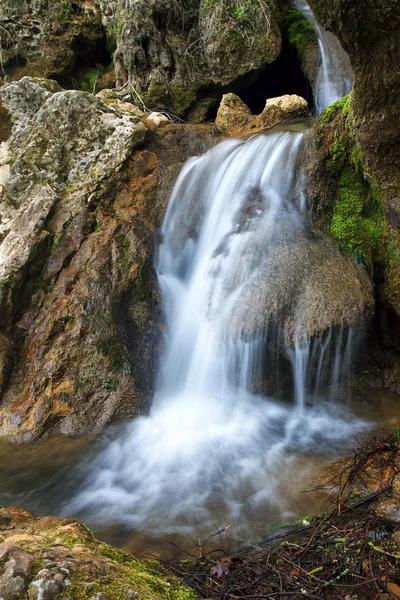 Madeira de primavera e rio. Cachoeira . — Fotografia de Stock