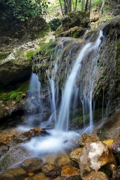 Cachoeira. Rio Montanha. Madeira de nascente e rio . — Fotografia de Stock