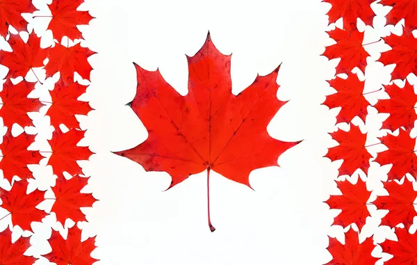 Canadese vlag gemaakt van esdoorn rode bladeren. Canada vlag concept — Stockfoto