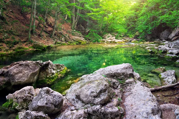 Râu montan în pădure și teren montan . — Fotografie, imagine de stoc