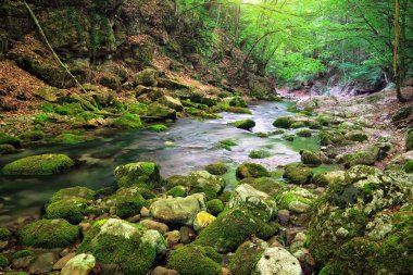 dağ nehir orman ve dağ arazi. Kırım