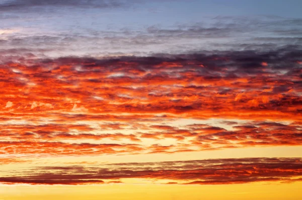 燃えるようなオレンジ色の夕焼け空。美しい空。上空の背景 — ストック写真