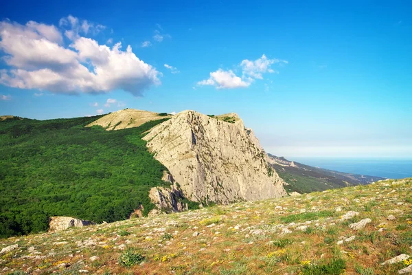Dağ manzarası. Doğanın bileşimi.