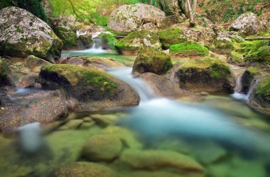 dağ nehir. Orman ve dağ arazi su akışı
