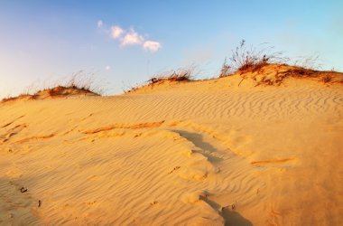 manzara mavi gökyüzü ve dunes.