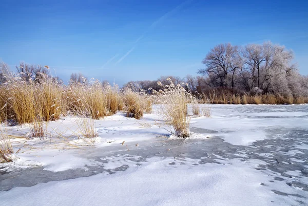 Paisagem de inverno com árvores e rio congelado — Fotografia de Stock