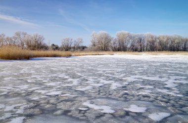 sazlık, ağaçlar ve donmuş nehir kış manzarası