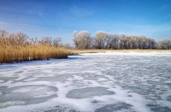 Paisaje invernal con cañas, árboles y río congelado — Foto de Stock