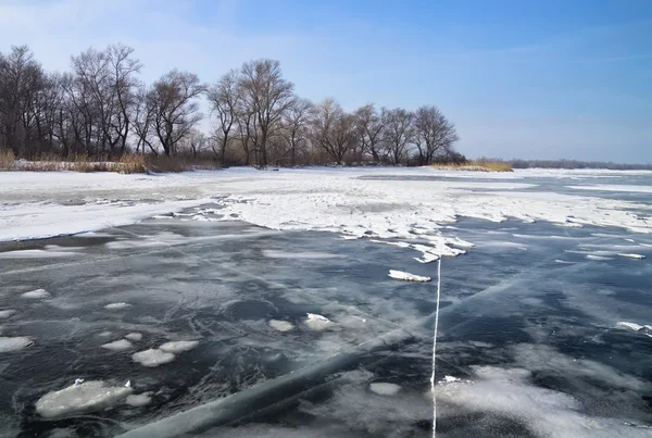 Winter landscape with reeds, trees, and frozen river — Stock Photo, Image