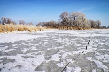 ağaçlar, sazlık ve donmuş nehir kış manzarası 
