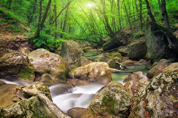 Mountain river in spring. A stream of water in forest and mounta — Stock Photo, Image