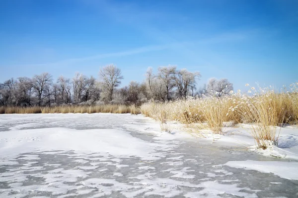 Paesaggio invernale con alberi, fiume ghiacciato e cielo blu — Foto Stock