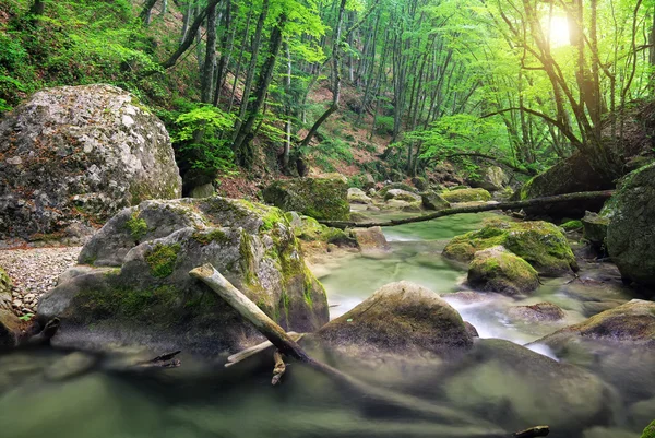 Fiume di montagna in primavera. Un ruscello d'acqua nella foresta e nella montagna — Foto Stock