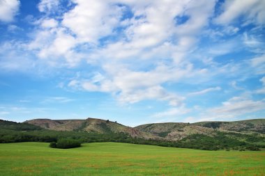 Dağdaki yeşil çayır. Doğanın bileşimi. 