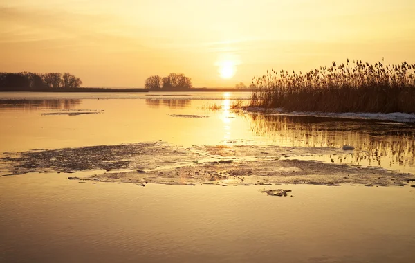 Winterlandschaft mit Fluss, Schilf und Sonnenuntergang. — Stockfoto