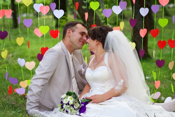 çim parkta güzel yeni evli çift