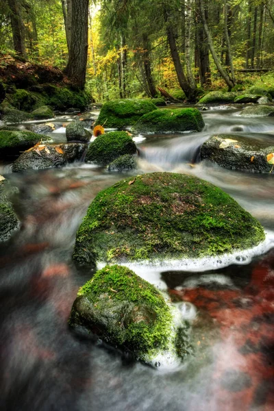 Bosque Río Arroyo Flujo Agua Hermoso Paisaje Otoñal Con Piedras — Foto de Stock