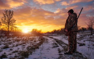 Yabani tavşan avlamaya kış, gündoğumu. Hareketli ile av tüfeği ve seyir için av avcı.