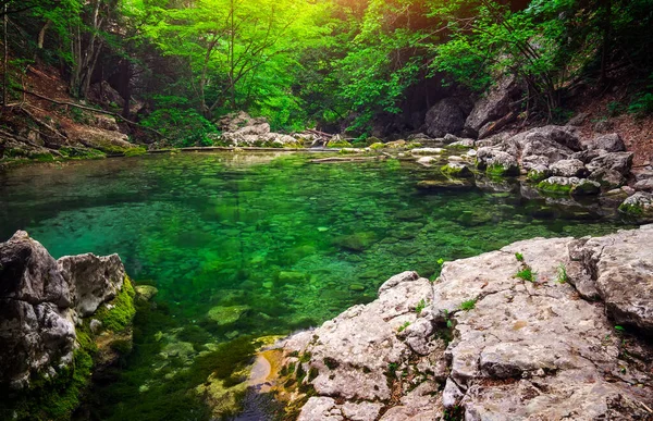 Fluss Tief Den Bergen Sommer Wasserlauf Wald Zusammensetzung Der Natur — Stockfoto