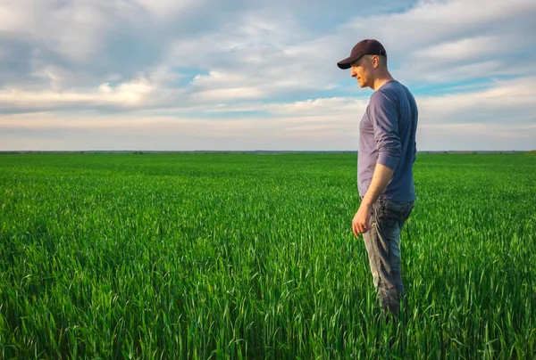 Hezký Farmář Mladý Muž Který Chodí Zeleném Poli Jarní Zemědělství — Stock fotografie
