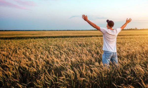 Muž Farmář Stojící Během Západu Slunce Pšeničném Poli Člověk Užívá — Stock fotografie