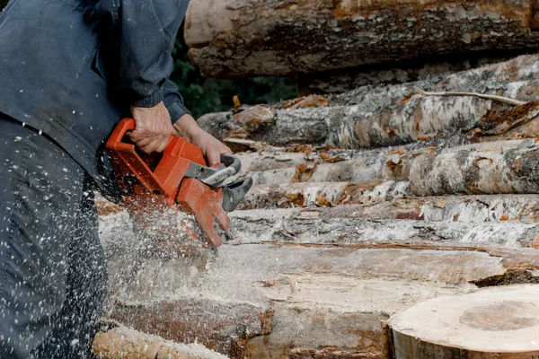 Registratore, una persona che taglia un albero o un tronco con una motosega, una motosega elettrica. — Foto Stock