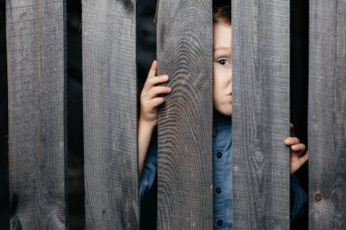 Şaşırmış beyaz çocuk ahşap bir çitin çatalından dışarı bakıyor. Çocukça bir merak. Casusluk. Kırsal yaşam. Çocuk gelişimi, merak. Çocuk çatlaktan baktı..