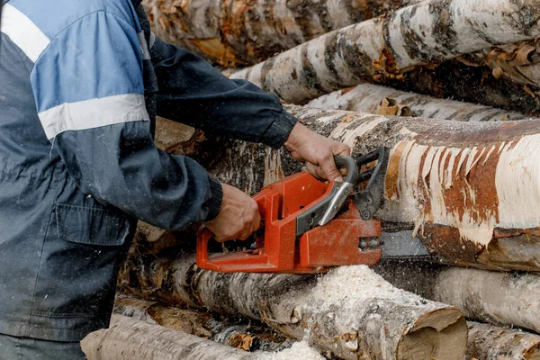 Close-up de um homem serrar uma árvore com uma motosserra. um madeireiro serra um tronco de árvore com uma motosserra. Colheita de lenha — Fotografia de Stock