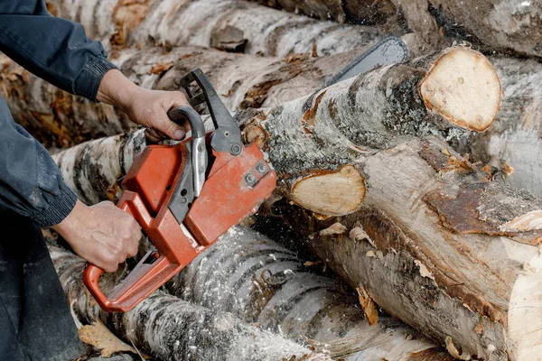 一个人用链锯锯树的男人的特写。伐木工用链锯锯断树干。木柴的收获 — 图库照片