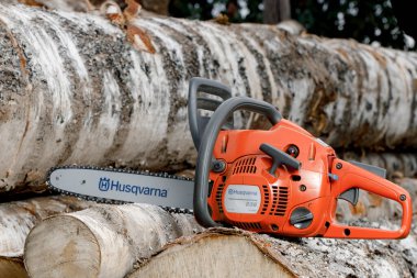 KIROV, Rusya - 09.10.2020. Husqvarna 236 Chainsaw. Elektrikli testereyle odun kesiyor, kışa odun hazırlıyor, kırsal alanda sıkı çalışıyor.. 